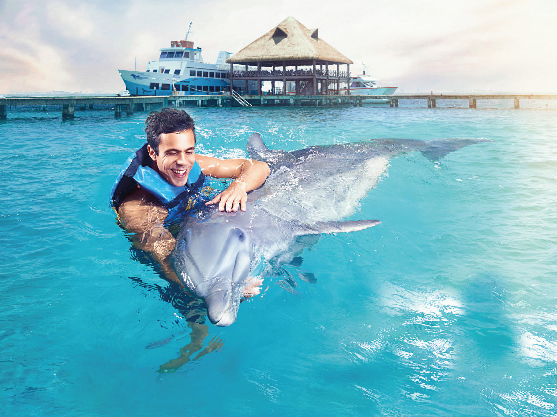 Dolphin Cat + Royal Swim VIP (Cancún)