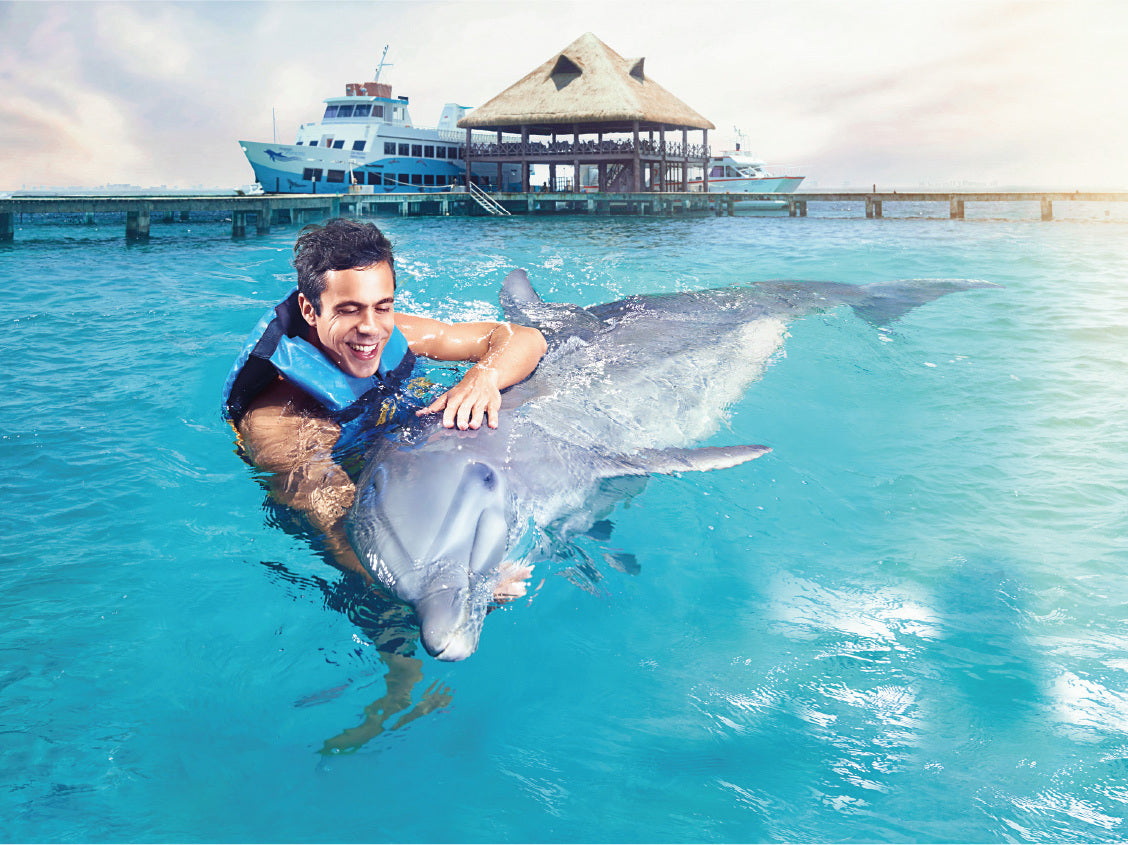 Dolphin Royal Swim VIP (Riviera Maya)