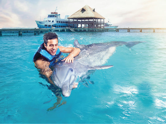 Dolphin Royal Swim VIP (Cancún)
