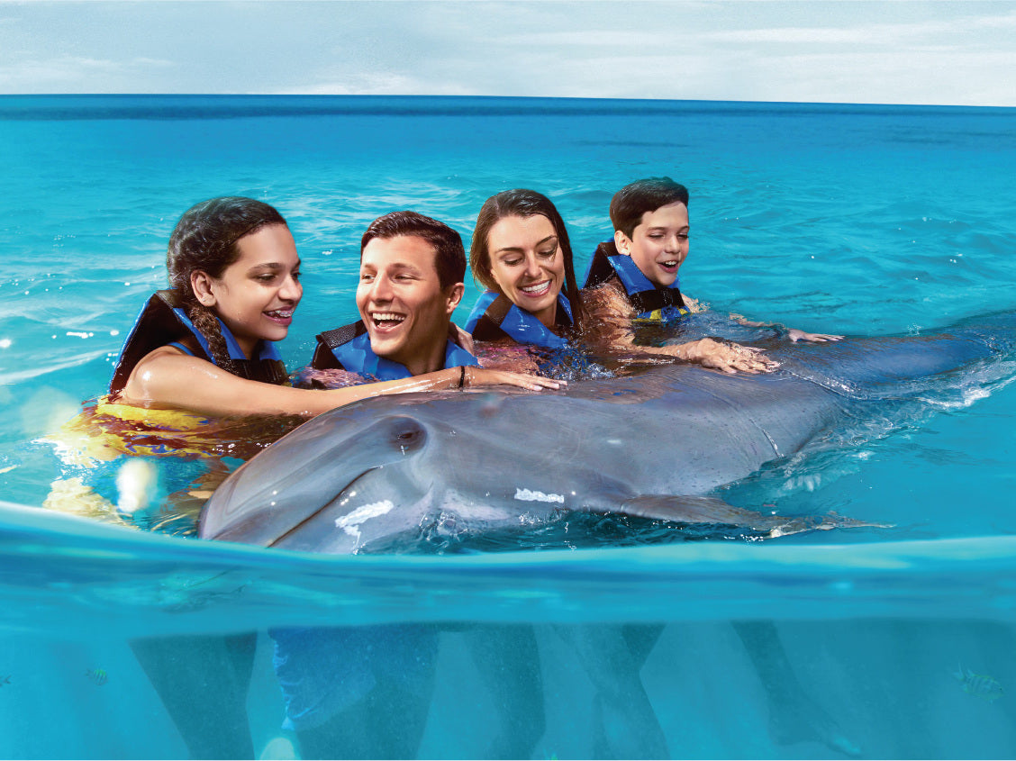 Dolphin Cat + Royal Swim VIP (Cancún)