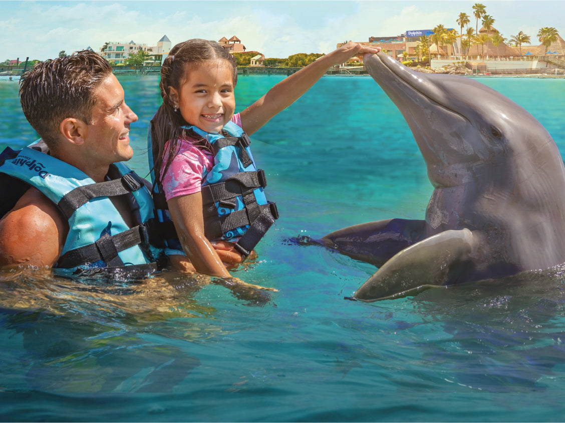 Dolphin Cat + Encounter (Cancún)