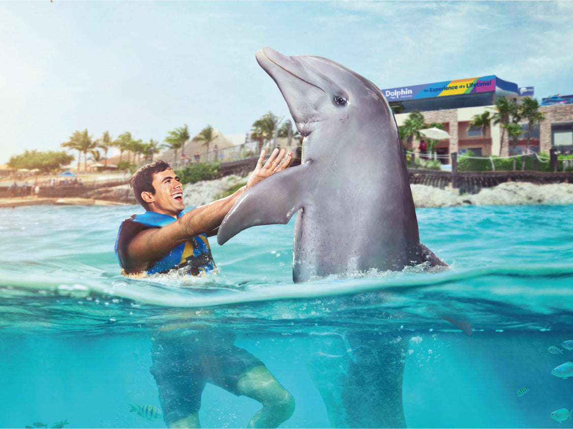 Dolphin Cat + Swim Adventure (Cancún)
