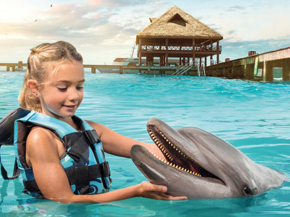 Dolphin Cat + Encounter (Cancún)