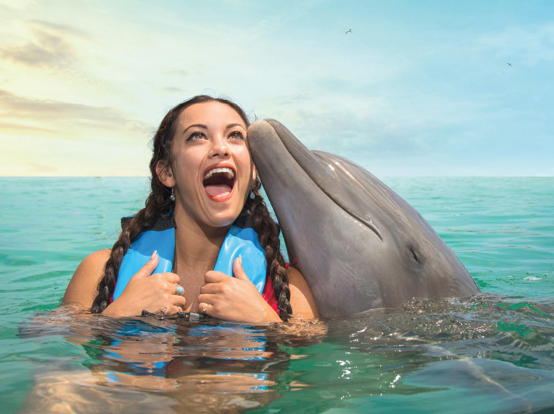 Dolphin Cat + Encounter (Cancún)