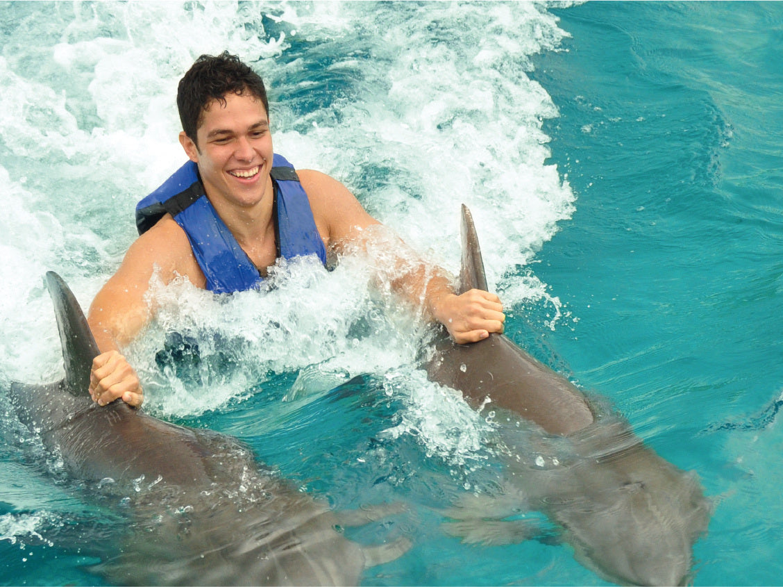 Dolphin Cat + Swim Adventure (Cancún)