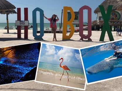 Tour Isla Holbox (Riviera Maya)