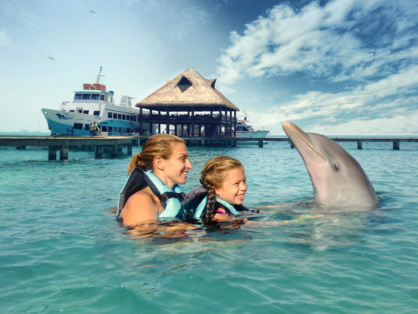 Dolphin Cat + Swim Adventure (Cancún)