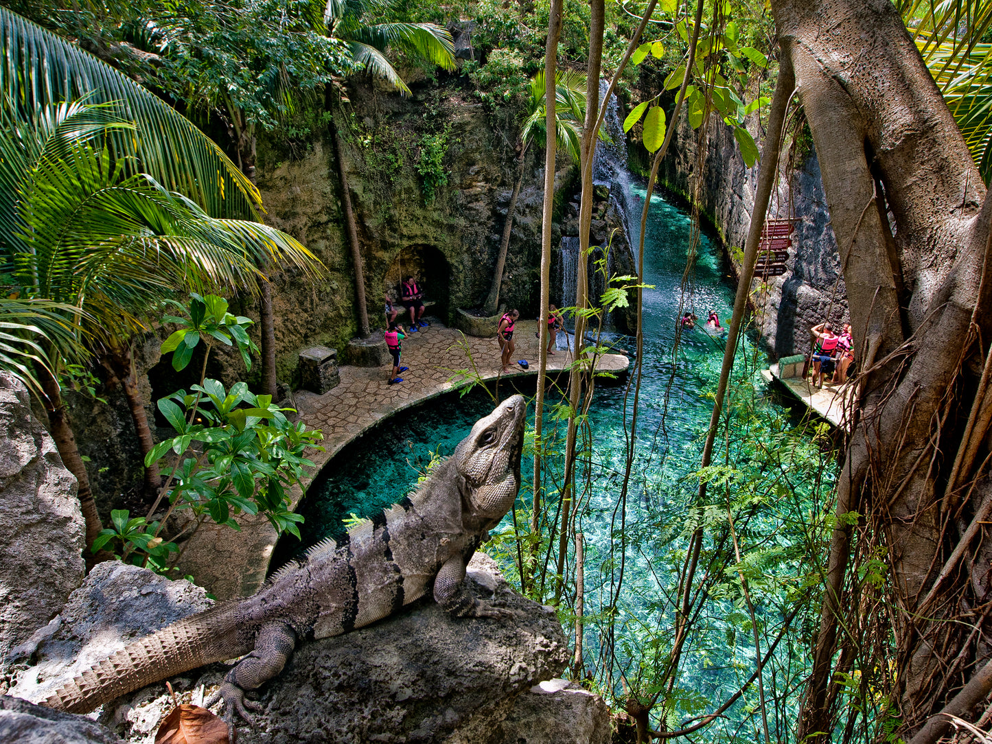 Xcaret Básico (Riviera Maya)